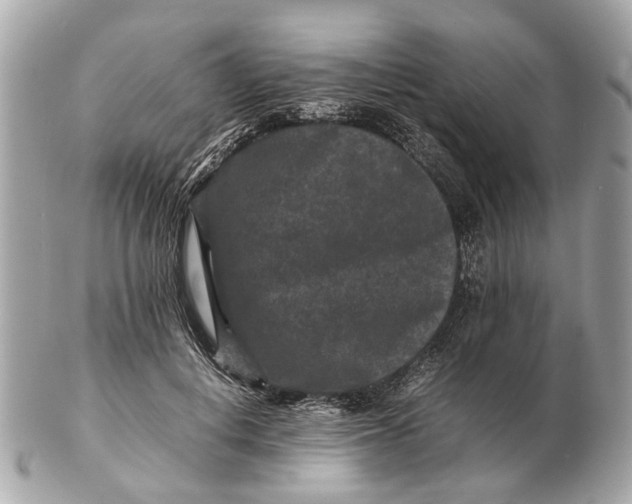 X0000102510648200808291735