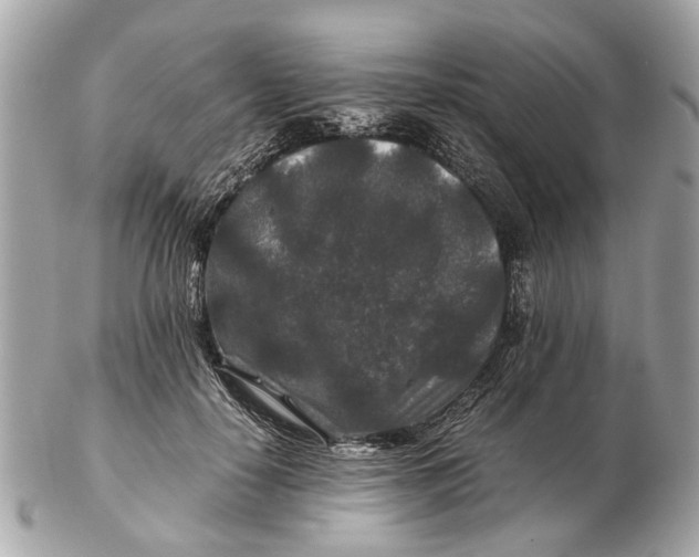 X0000102510650200808291735