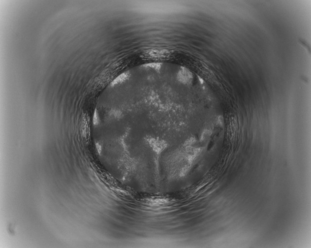 X0000102510651200808291735