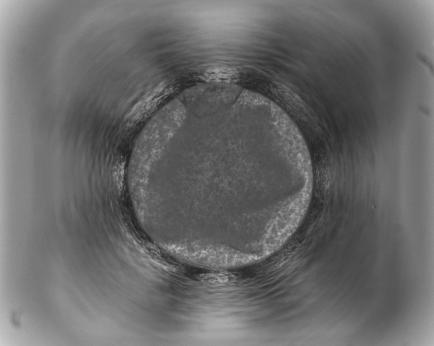 X0000102510652200808291735
