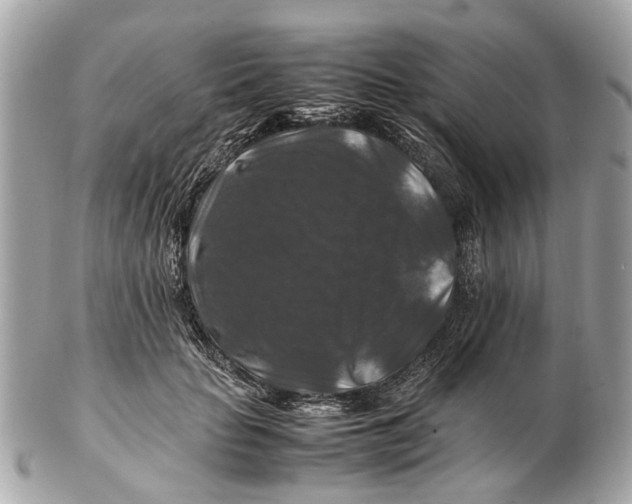 X0000102510653200808291735