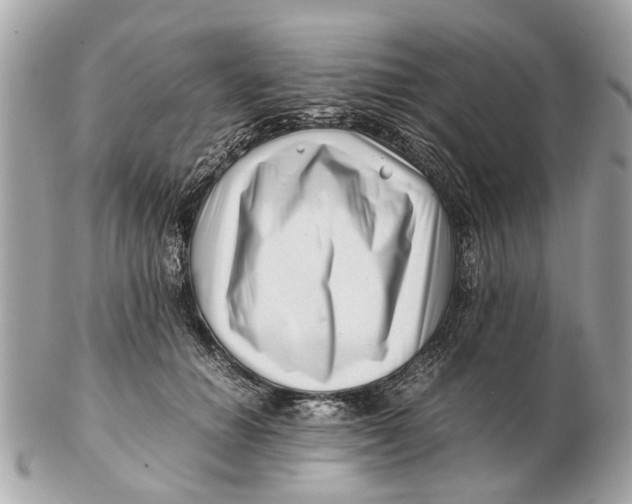 X0000102510654200808291735