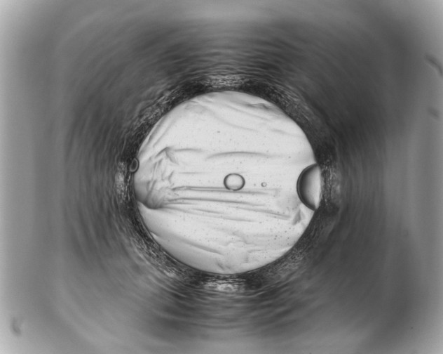 X0000102510655200808291735