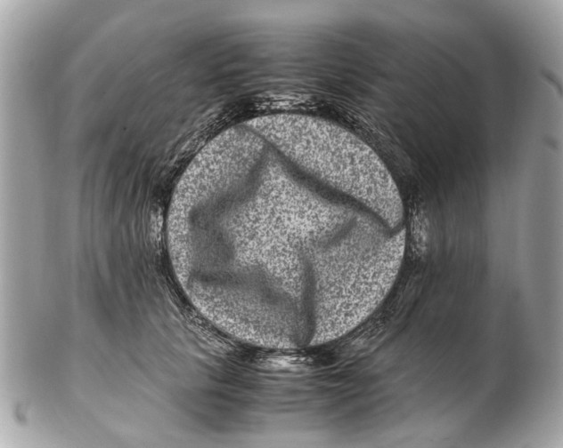 X0000102510657200808291735