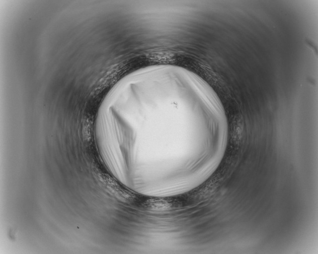 X0000102510658200808291735
