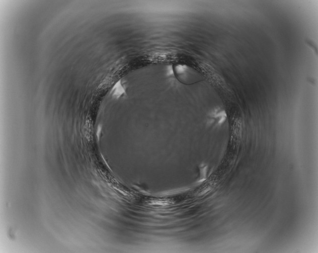 X0000102510659200808291735