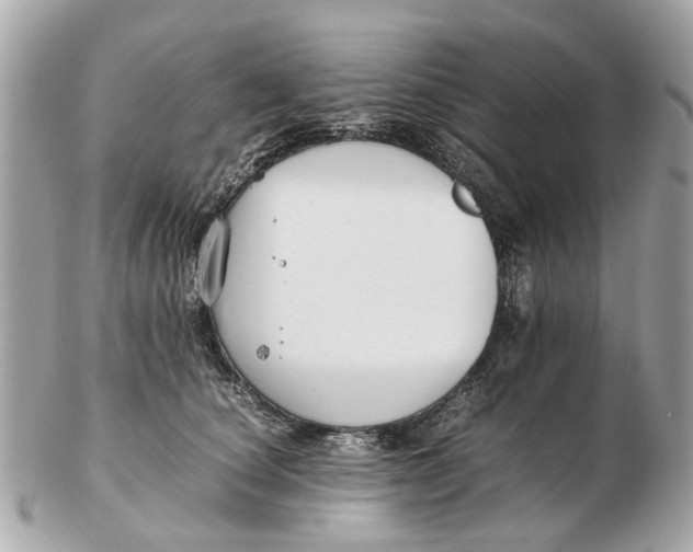X0000102510660200808291735