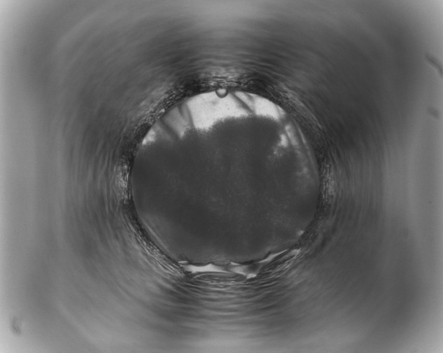 X0000102510661200808291735