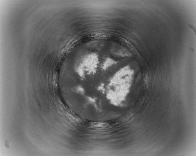 X0000102510663200808291735