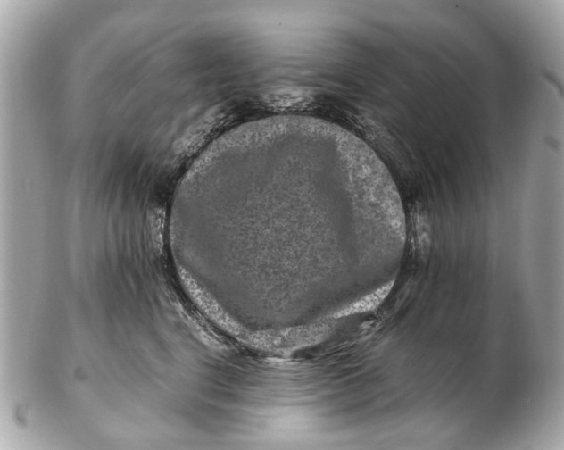 X0000102510664200808291735