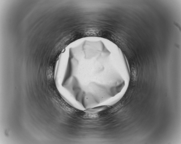 X0000102510665200808291735