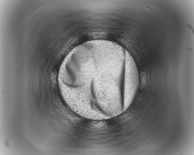 X0000102510667200808291735