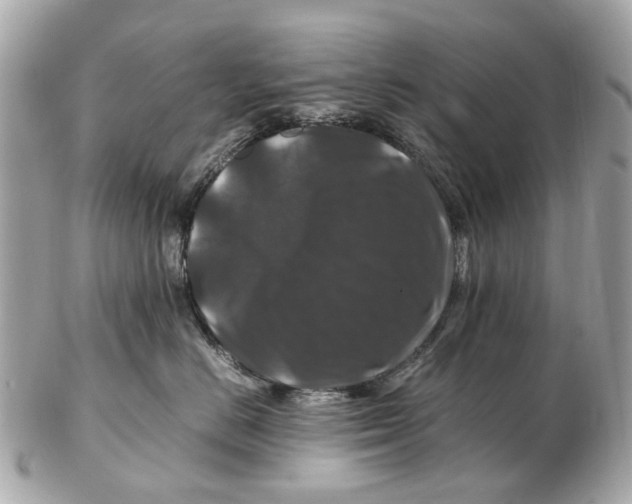X0000102510670200808291735