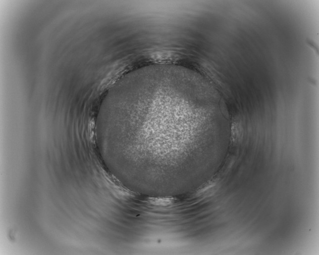 X0000102510671200808291735