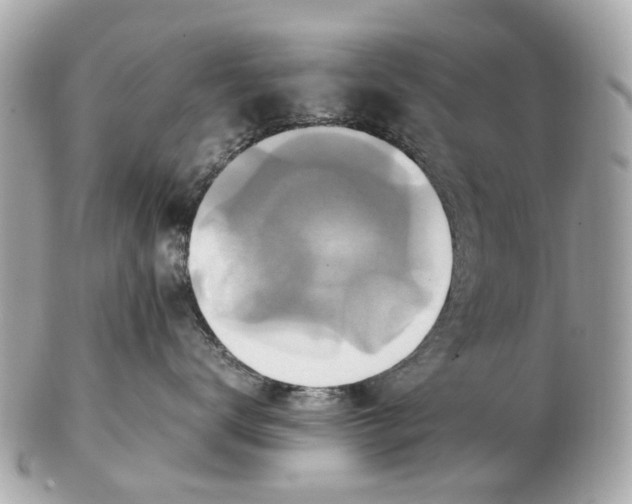 X0000102510672200808291735
