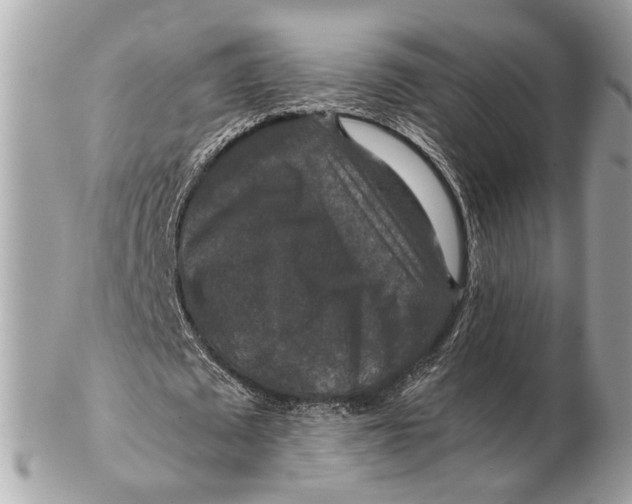 X0000102510673200808291734