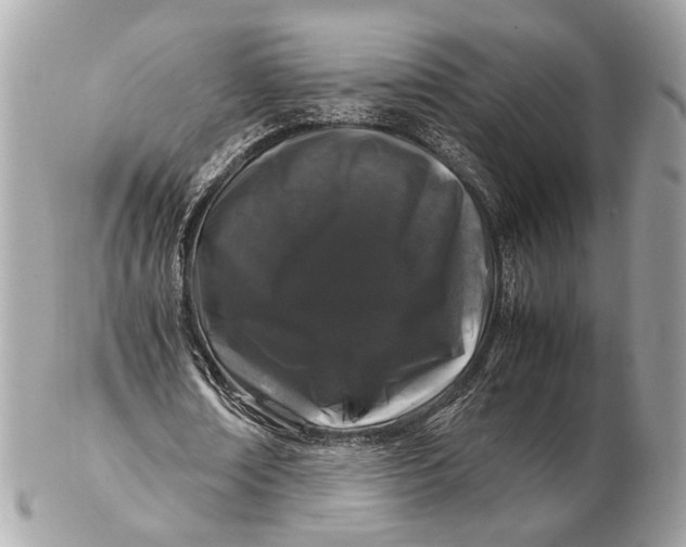 X0000102510674200808291734