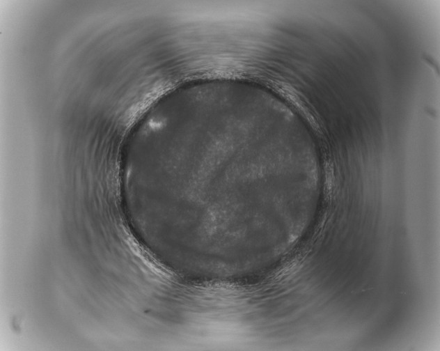X0000102510677200808291734