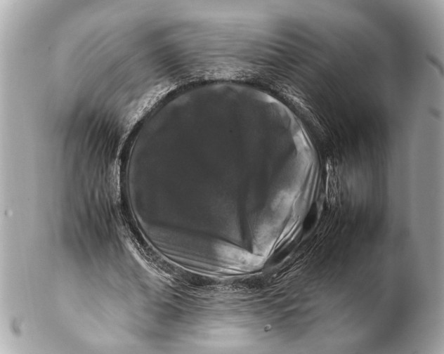 X0000102510678200808291734