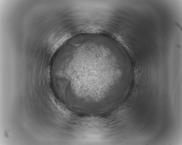 X0000102510679200808291734