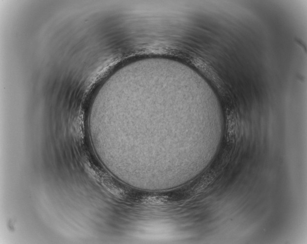 X0000102510680200808291734