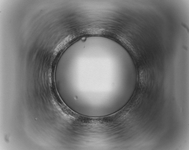 X0000102510682200808291734