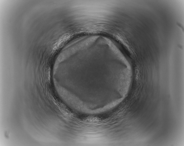 X0000102510685200808291734