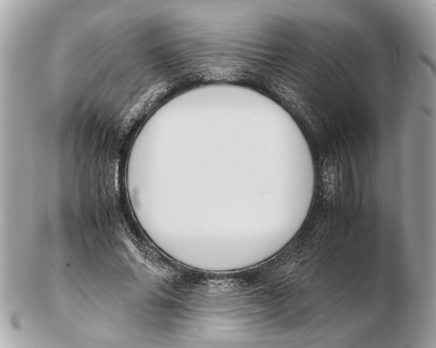 X0000102510686200808291734