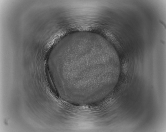 X0000102510687200808291734