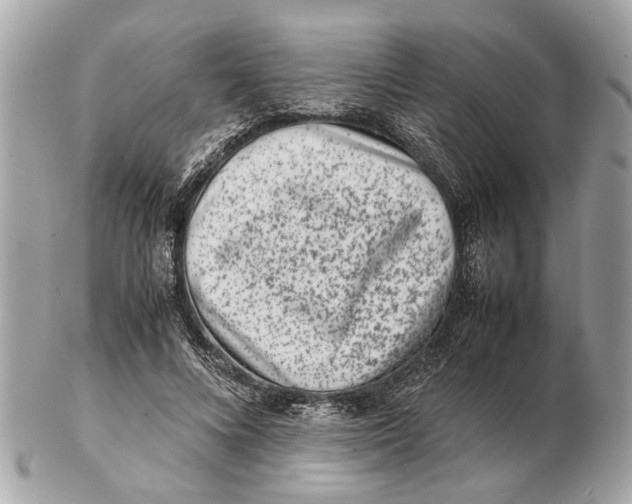 X0000102510688200808291734