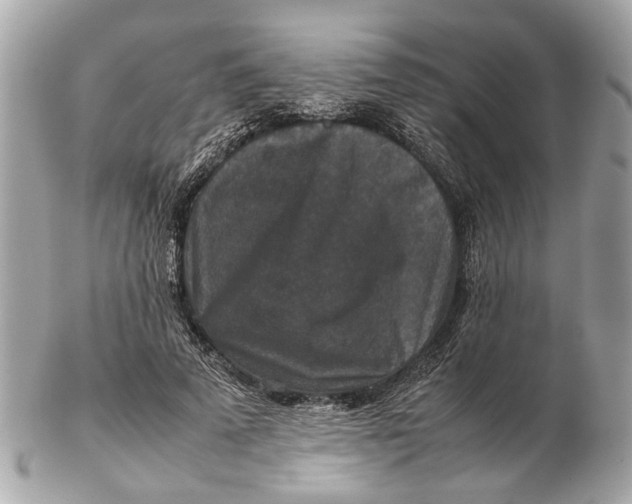 X0000102510689200808291734