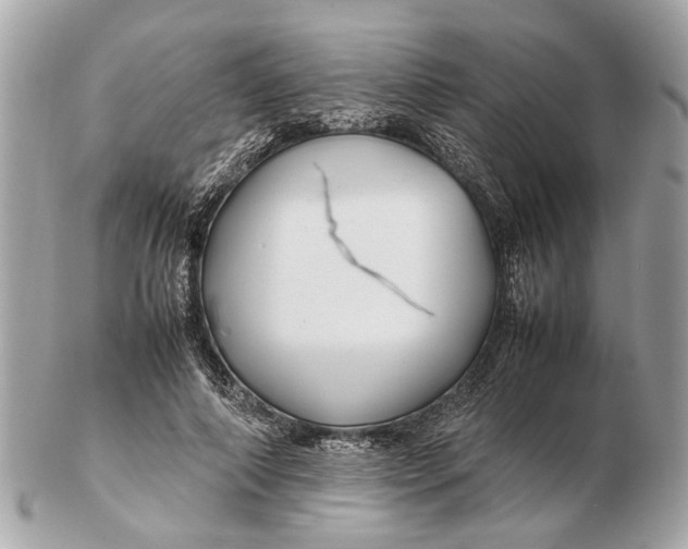 X0000102510690200808291734