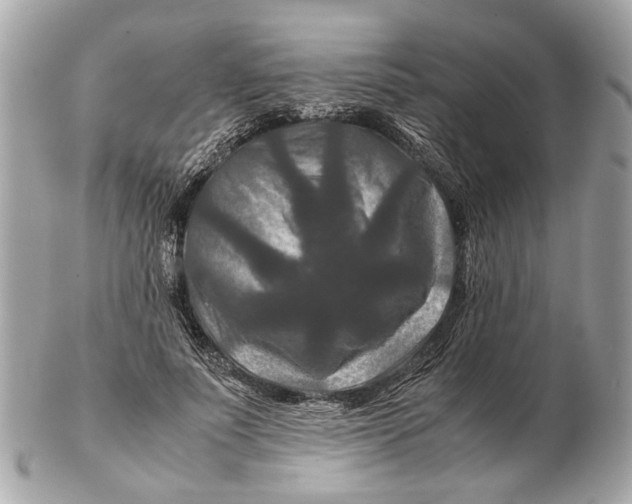 X0000102510691200808291734