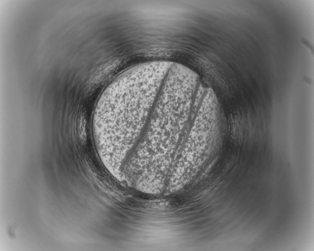X0000102510692200808291734