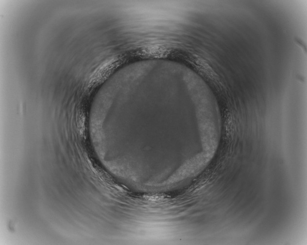 X0000102510693200808291734