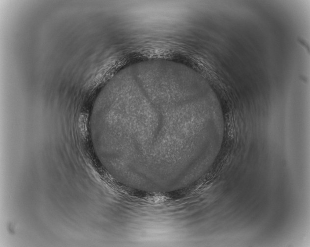 X0000102510695200808291734