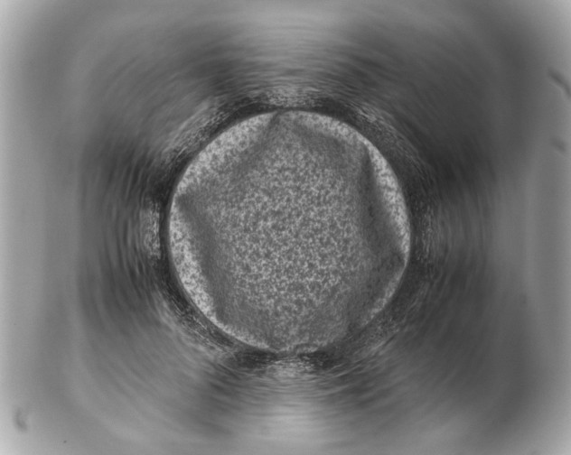 X0000102510696200808291734