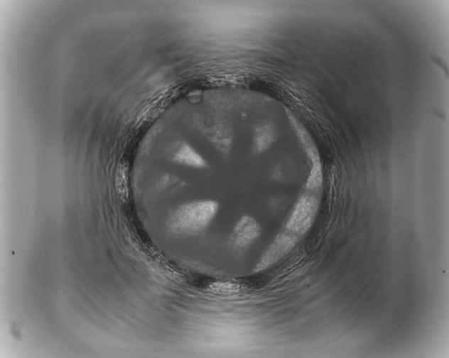 X0000102510699200808291734