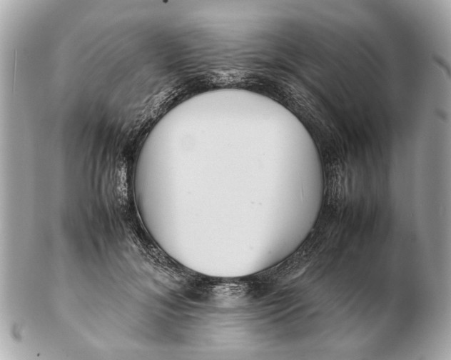 X0000102510700200808291734