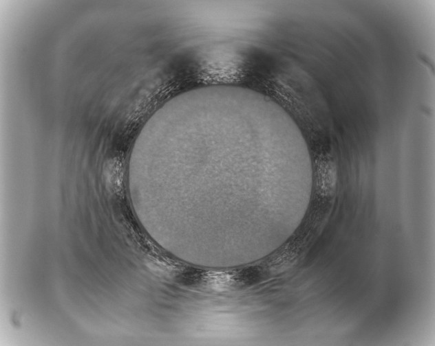 X0000102510701200808291734