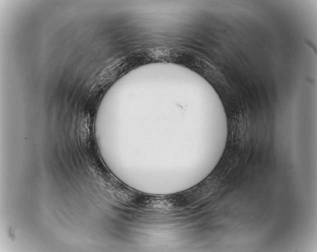 X0000102510702200808291734