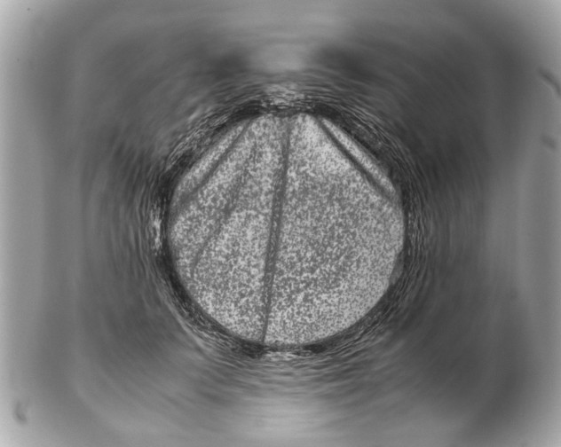 X0000102510703200808291734
