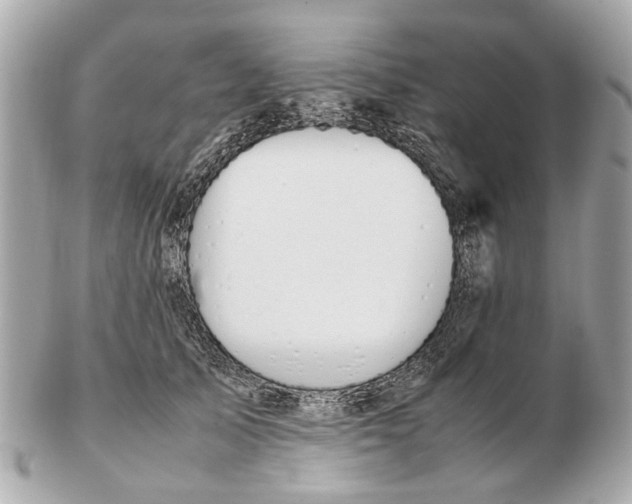 X0000102510705200808291734