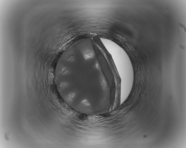 X0000102510707200808291734