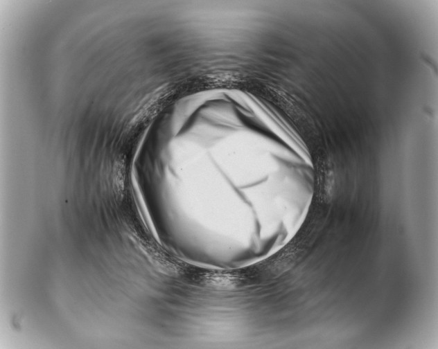 X0000102510710200808291734