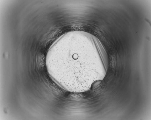 X0000102510712200808291734