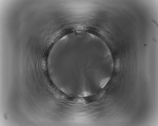X0000102510715200808291734