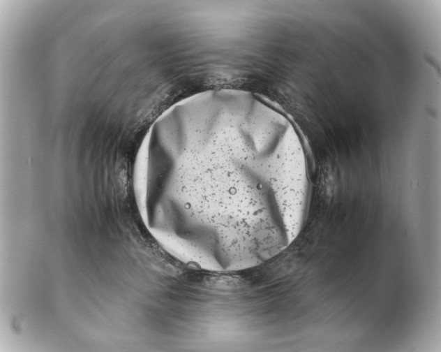 X0000102510716200808291734