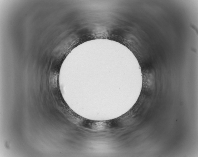 X0000102510717200808291734