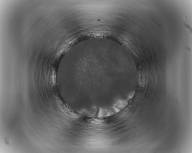 X0000102510718200808291734